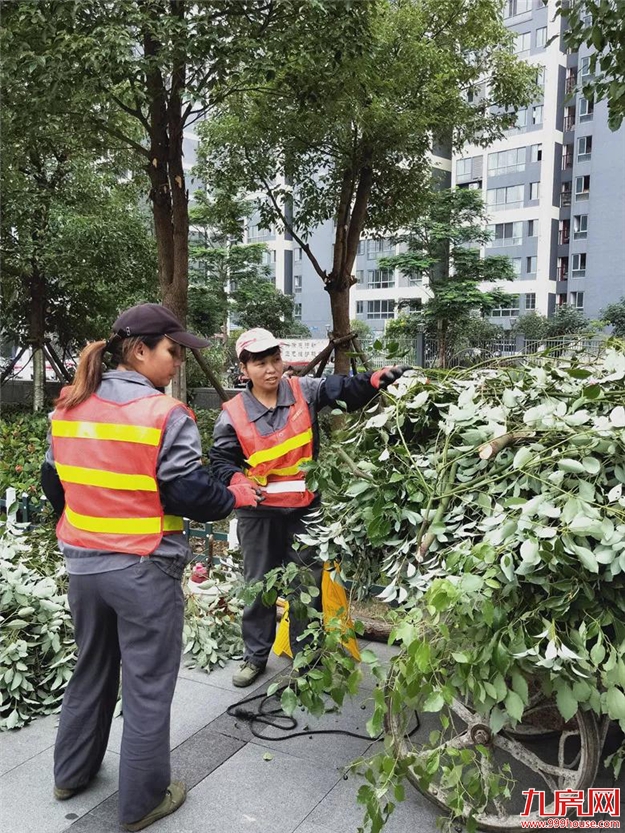 厦门房产,厦门房地产,厦门新房,九房网,厦门房产