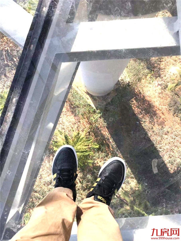 厦门健康步道正式命名！今天起请叫我厦门山海健康步道——九房网