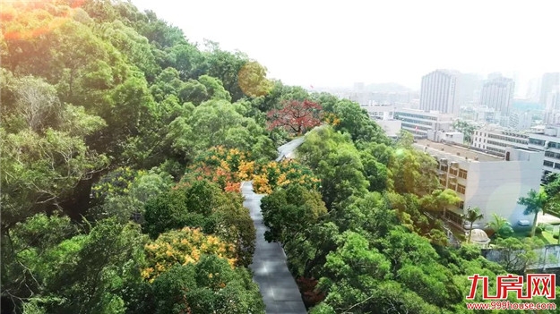 厦门健康步道正式命名！今天起请叫我厦门山海健康步道——九房网