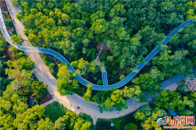 厦门健康步道正式命名！今天起请叫我厦门山海健康步道——九房网