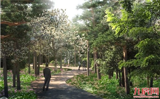 厦门健康步道正式命名！今天起请叫我厦门山海健康步道——九房网