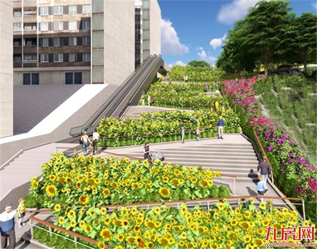 厦门健康步道正式命名！今天起请叫我厦门山海健康步道——九房网