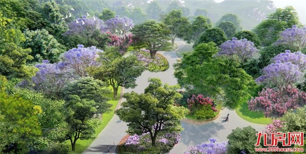 厦门健康步道正式命名！今天起请叫我厦门山海健康步道——九房网