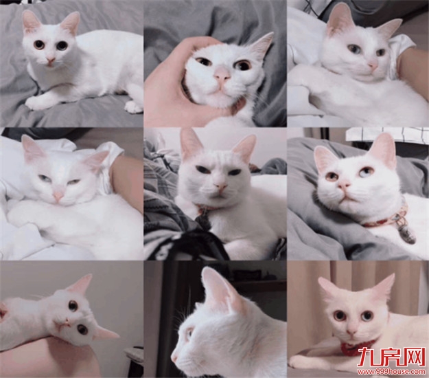 厦门龙湖冠寓丨实名羡慕这届青年，这大概就是我想要的生活吧——九房网