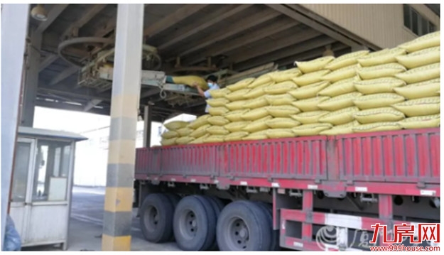 多图直击!厦门复工之战打响!地铁、公交变这样,一大波企业硬核上阵!——九房网 多图直击!厦门复工之战打响!地铁、公交变这样,一大波企业硬核上阵!——九房网