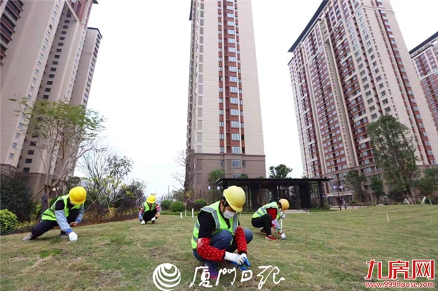 厦门房产,厦门房地产,厦门新房,九房网,厦门房产