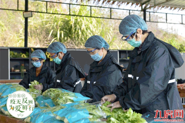 厦门房产,厦门房地产,厦门新房,九房网,厦门房产