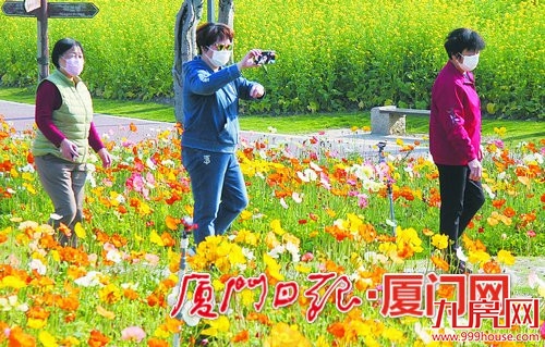 市市政园林局“双线作战”勇作为 服务大局敢担当——九房网