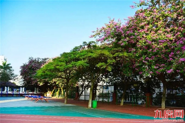 快讯！金鸡亭中学成为厦门一中合作校！是真合作？今年招80名片外生，报名开始！——九房网