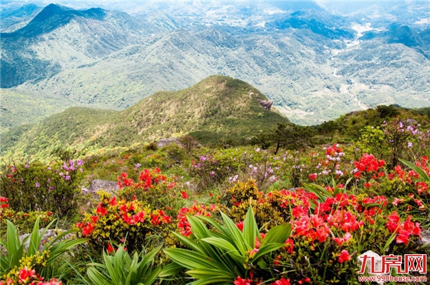 重磅!从福州到厦门,以后有森林步道可以走了!——九房网 重磅!从福州到厦门,以后有森林步道可以走了!——九房网