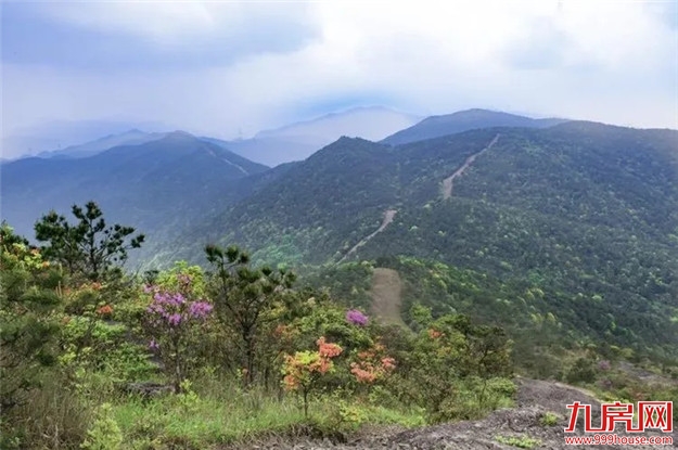 重磅!从福州到厦门,以后有森林步道可以走了!——九房网 重磅!从福州到厦门,以后有森林步道可以走了!——九房网