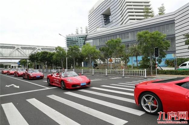 岛内惊现神秘大咖Mr. World，千万豪车市集快闪，引爆鹭岛！——九房网