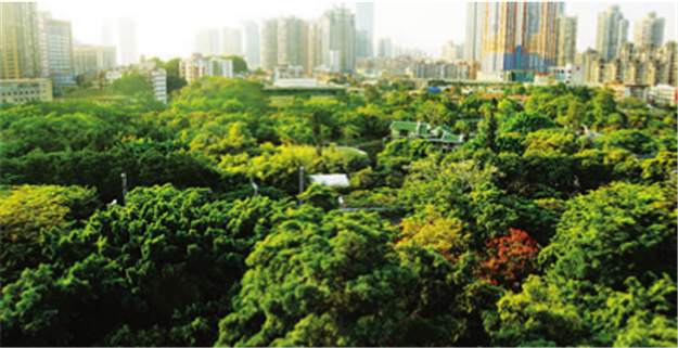 2020年岛外将建成3条绿道!五缘湾-湖边水库-东坪山步道计划启动建设!——九房网 2020年岛外将建成3条绿道!五缘湾-湖边水库-东坪山步道计划启动建设!——九房网