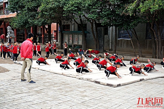暑期强档上新!带娃来龙湖学武功,上少林,燃情一夏——九房网 暑期强档上新!带娃来龙湖学武功,上少林,燃情一夏——九房网