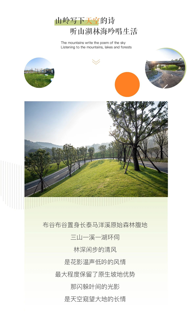 山岭の故事 | 阳光之上，恰好我们生活在布谷布谷——九房网