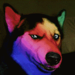 颤抖!2020年福建各市最新平均工资和房价表曝光!你能在哪个城市买房?——九房网 颤抖!2020年福建各市最新平均工资和房价表曝光!你能在哪个城市买房?——九房网