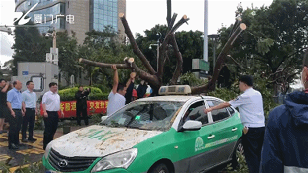 厦门房产,厦门房地产,厦门新房,九房网,厦门房产