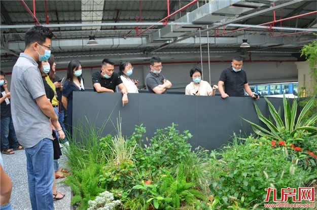 品奥园 鉴匠心|2020奥园厦门媒体品鉴行 礼阅不凡——九房网 品奥园 鉴匠心|2020奥园厦门媒体品鉴行 礼阅不凡——九房网