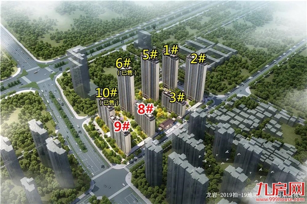 刚刚,建发泱著连夜抢开!现场盛况曝光!买房人意向强烈!——九房网 刚刚,建发泱著连夜抢开!现场盛况曝光!买房人意向强烈!——九房网