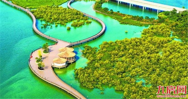 厦门房产,厦门房地产,厦门新房,九房网,厦门房产