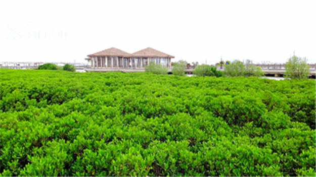 火力全开！厦门这个区全面爆发！——九房网