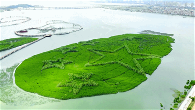 火力全开！厦门这个区全面爆发！——九房网