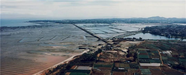 涨6.9万/㎡!涨5.8万/㎡!涨4万/㎡!厦门这些楼盘升值力爆表!——九房网 涨6.9万/㎡!涨5.8万/㎡!涨4万/㎡!厦门这些楼盘升值力爆表!——九房网