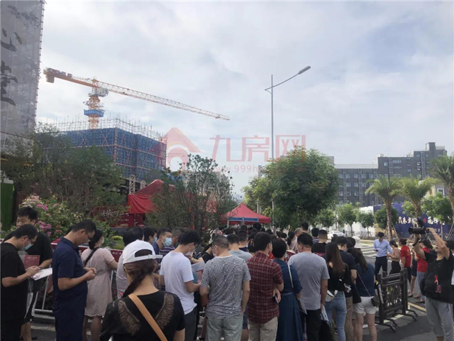 现场直击!刚刚,厦门两大豪宅齐开!大批有钱人排队抢!——九房网 现场直击!刚刚,厦门两大豪宅齐开!大批有钱人排队抢!——九房网