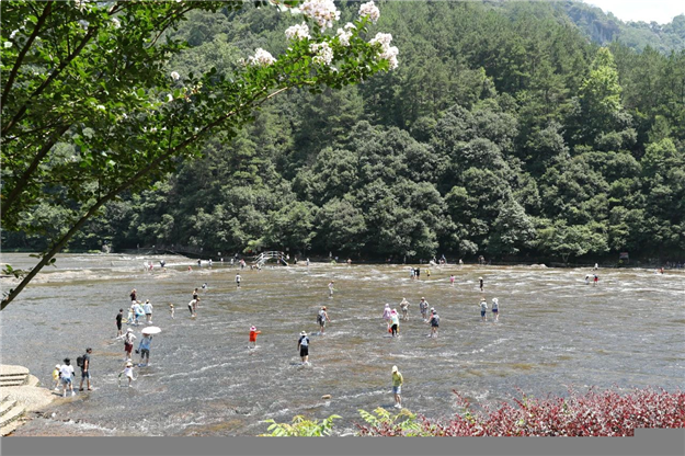 好消息！衢宁铁路进入开通运营倒计时！厦门未来动车直达闽东北和浙西南——九房网