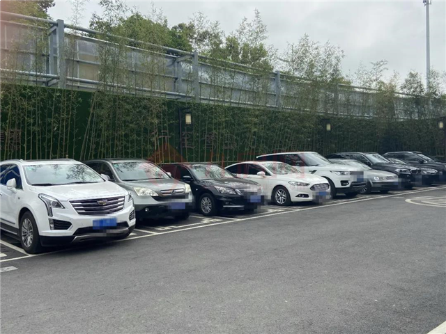 现场直击!刚刚,厦门两大豪宅齐开!大批有钱人排队抢!——九房网 现场直击!刚刚,厦门两大豪宅齐开!大批有钱人排队抢!——九房网