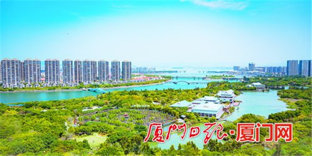 高林-金林全片区拆平！湖里区东部旧村整村改造创出旧村征迁新样板——九房网