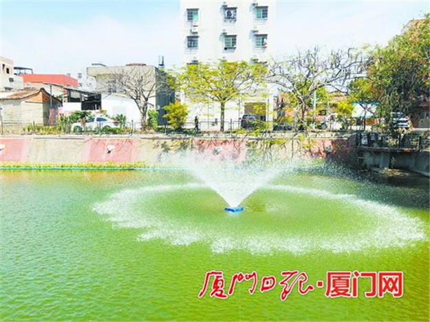 厦门364处小微水体全纳入河湖长制监管 串起城市风景线——九房网 厦门364处小微水体全纳入河湖长制监管 串起城市风景线——九房网