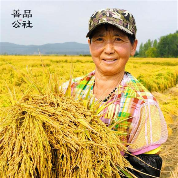 百万龙民的狂欢节来啦!龙民节报名火热进行中!——九房网 百万龙民的狂欢节来啦!龙民节报名火热进行中!——九房网