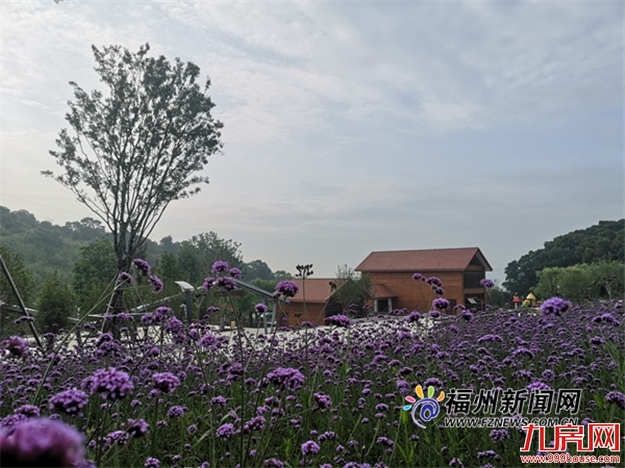 长乐南山生态公园将建1.7公里无障碍栈道——九房网 长乐南山生态公园将建1.7公里无障碍栈道——九房网