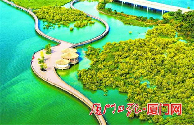 下潭尾红树林生态公园明年5月底前完工 市民可畅行4.2公里长"海上森林"——九房网 下潭尾红树林生态公园明年5月底前完工 市民可畅行4.2公里长"海上森林"——九房网
