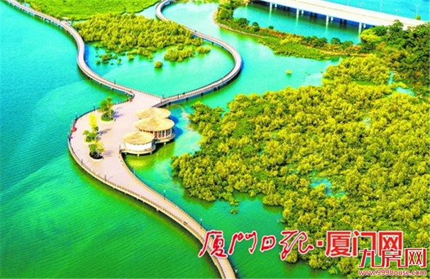 漫步“海上森林”!下潭尾红树林生态公园明年5月底完工——九房网 漫步“海上森林”!下潭尾红树林生态公园明年5月底完工——九房网