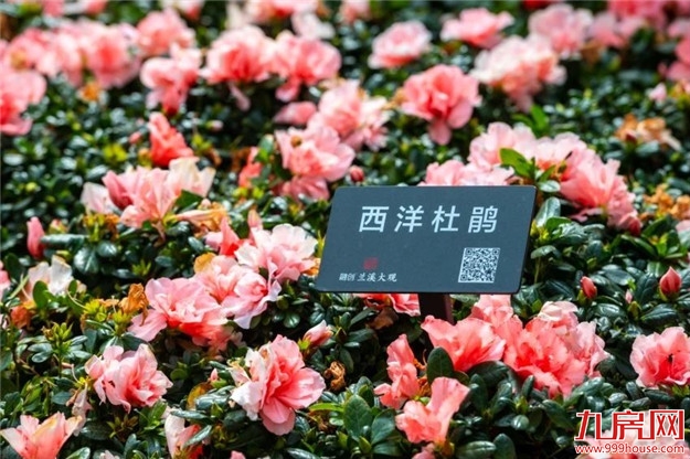 厦门房产,厦门房地产,厦门新房,九房网,厦门房产 厦门房产,厦门房地产,厦门新房,九房网,厦门房产