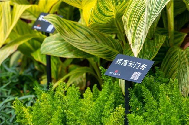 归心交付丨美好生活样板,融创福建3年打造“最美交付”——九房网 归心交付丨美好生活样板,融创福建3年打造“最美交付”——九房网