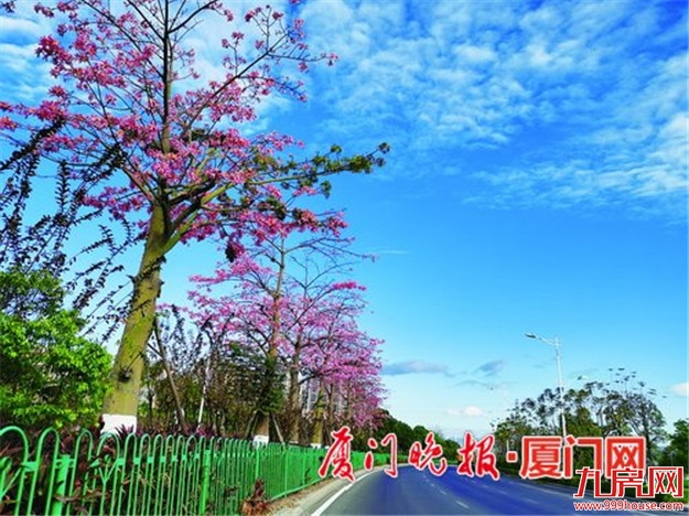 厦门房产,厦门房地产,厦门新房,九房网,厦门房产 厦门房产,厦门房地产,厦门新房,九房网,厦门房产