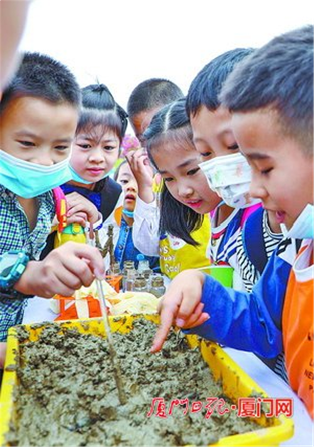 下潭尾红树林公园四大主题展馆开馆迎客●海洋文化嘉年华同期启幕，将持续至26日——九房网