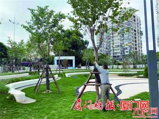 厦门房产,厦门房地产,厦门新房,九房网,厦门房产