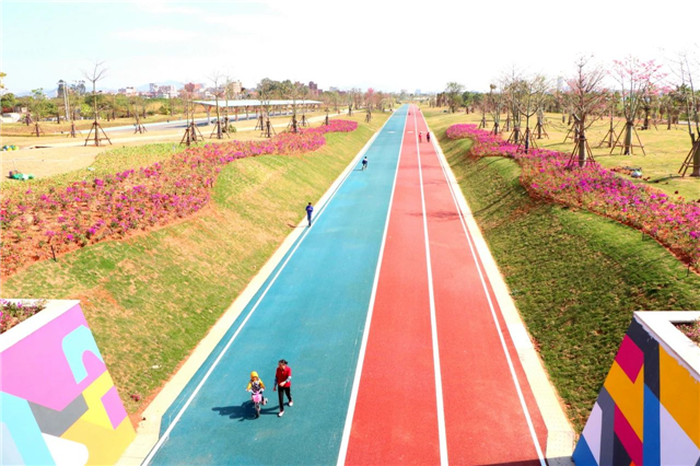 乘风前行！2020金砖国家新工业革命伙伴关系论坛在厦召开——九房网