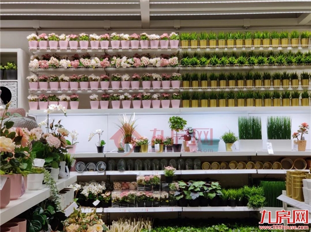 现场直击!多图曝光!省内首家!福州宜家正式开业!东二环身价将迎巨变!——九房网 现场直击!多图曝光!省内首家!福州宜家正式开业!东二环身价将迎巨变!——九房网