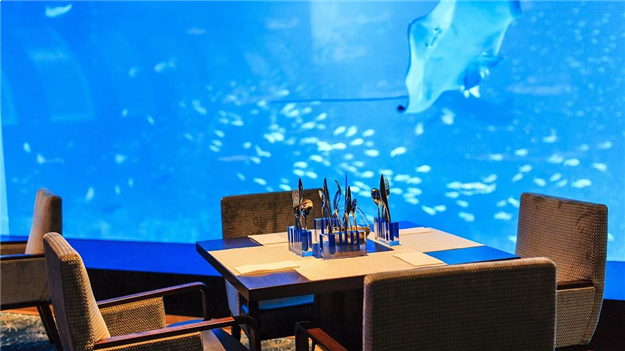 世界名流的家都在哪里?原来他们有一个共同爱好——九房网 世界名流的家都在哪里?原来他们有一个共同爱好——九房网