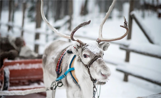 @禾粉们 叮咚，你的圣诞礼物驾到，快来拆礼啦！——九房网
