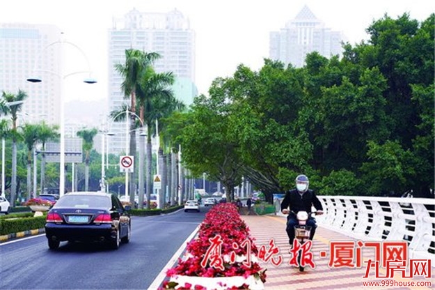 市府大道南桥、北桥正在改造  预计将于元旦前基本完工——九房网