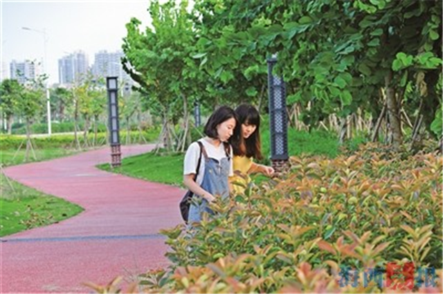 厦门房产,厦门房地产,厦门新房,九房网,厦门房产