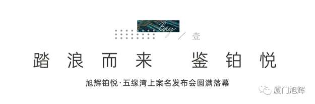 踏浪而来 鉴铂悦 | 旭辉铂悦·五缘湾上案名发布会圆满落幕——九房网 踏浪而来 鉴铂悦 | 旭辉铂悦·五缘湾上案名发布会圆满落幕——九房网