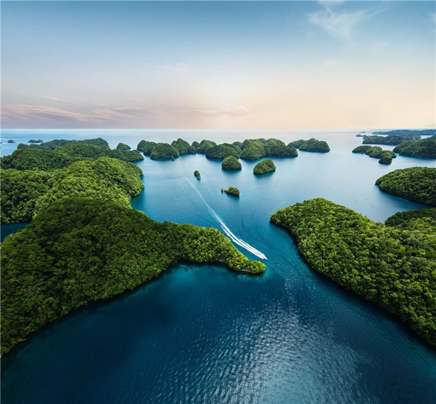 这里推窗即可瞰海,悦享6300亩红树林鲜氧生活——九房网 这里推窗即可瞰海,悦享6300亩红树林鲜氧生活——九房网