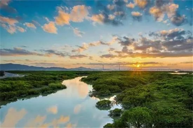 这里推窗即可瞰海,悦享6300亩红树林鲜氧生活——九房网 这里推窗即可瞰海,悦享6300亩红树林鲜氧生活——九房网